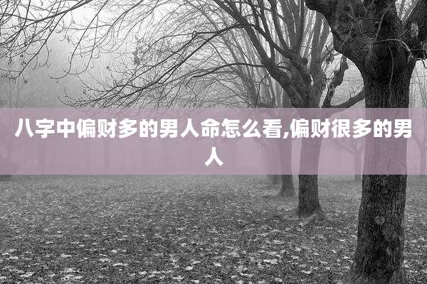八字中偏财多的男人命怎么看,偏财很多的男人