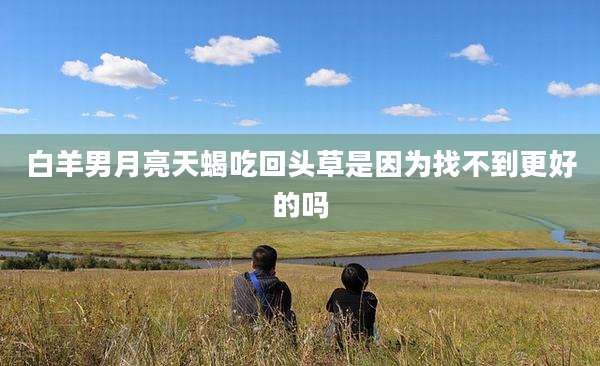 白羊男月亮天蝎吃回头草是因为找不到更好的吗