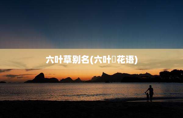 六叶草别名(六叶葎花语)
