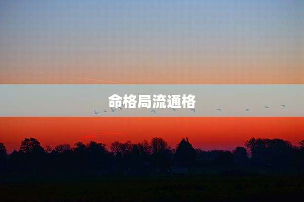 命格局流通格