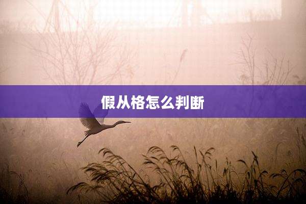 假从格怎么判断