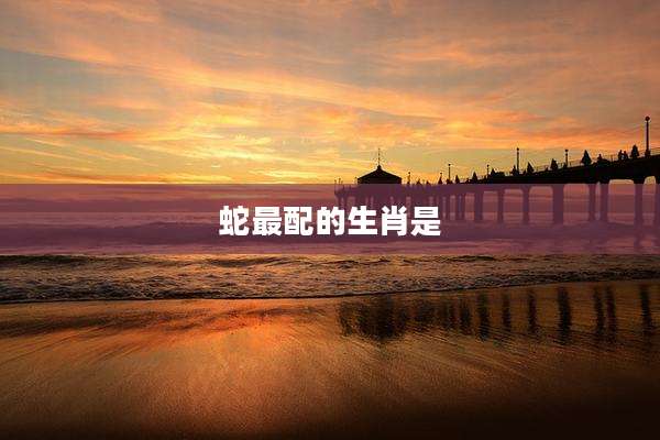蛇最配的生肖是