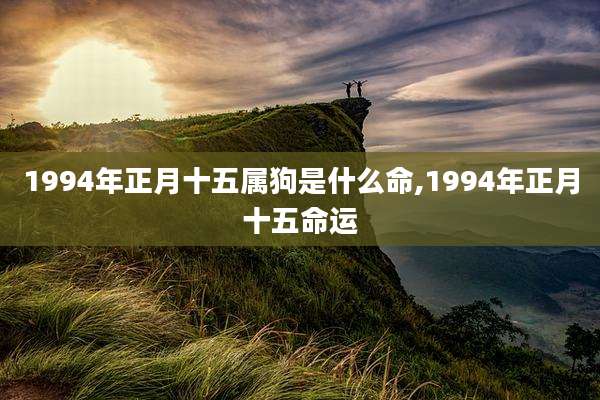 1994年正月十五属狗是什么命,1994年正月十五命运