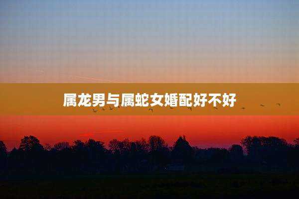 属龙男与属蛇女婚配好不好