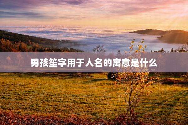 男孩笙字用于人名的寓意是什么