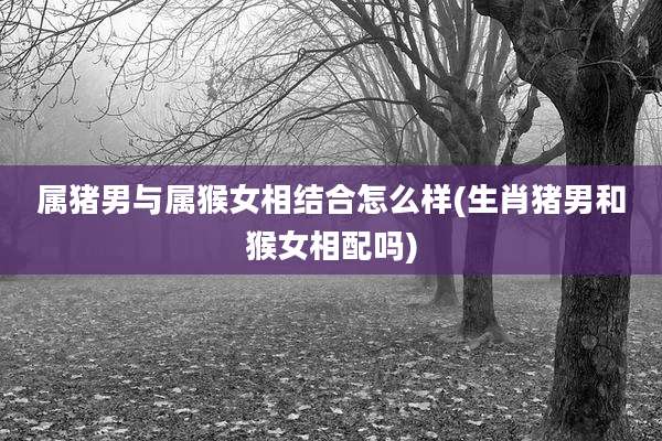 属猪男与属猴女相结合怎么样(生肖猪男和猴女相配吗)