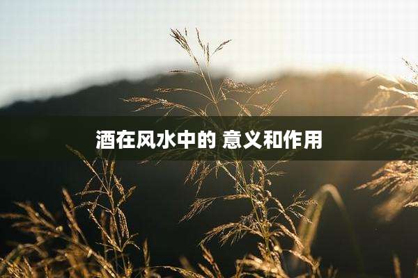 酒在风水中的 意义和作用