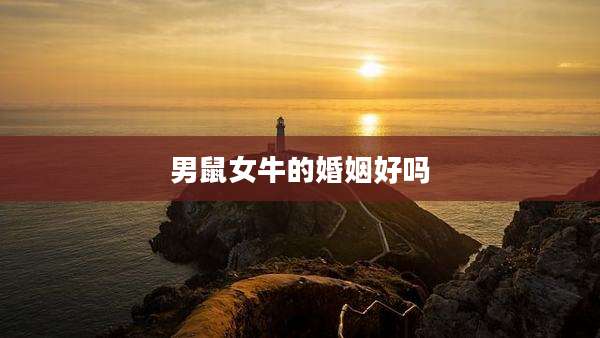 男鼠女牛的婚姻好吗