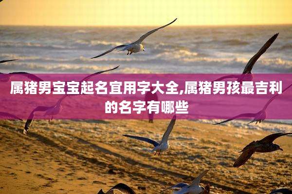 属猪男宝宝起名宜用字大全,属猪男孩最吉利的名字有哪些