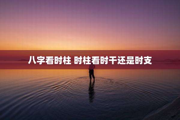 八字看时柱 时柱看时干还是时支