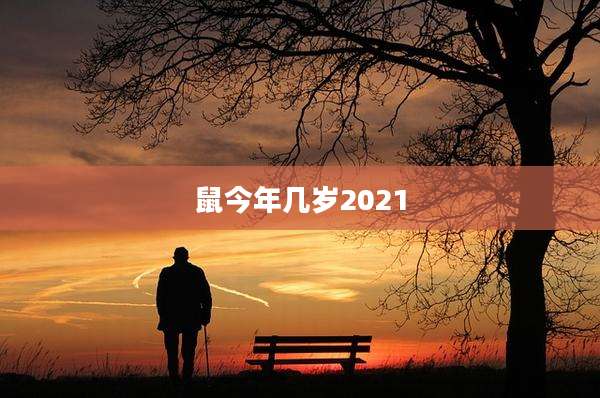 鼠今年几岁2021