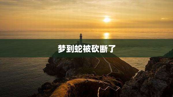 梦到蛇被砍断了