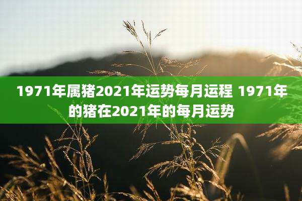 1971年属猪2021年运势每月运程 1971年的猪在2021年的每月运势