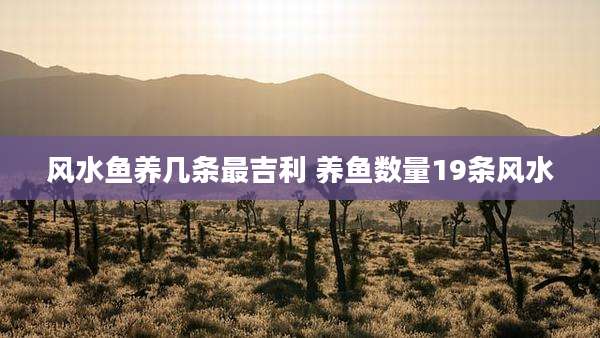 风水鱼养几条最吉利 养鱼数量19条风水