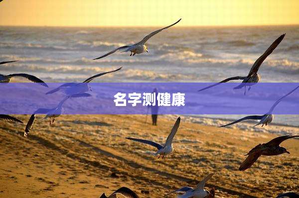 名字测健康