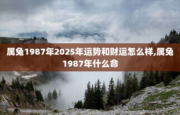 属兔1987年2025年运势和财运怎么样,属兔1987年什么命