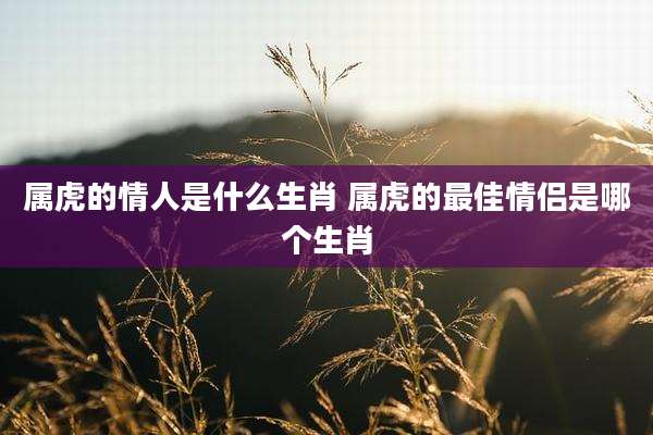 属虎的情人是什么生肖 属虎的最佳情侣是哪个生肖