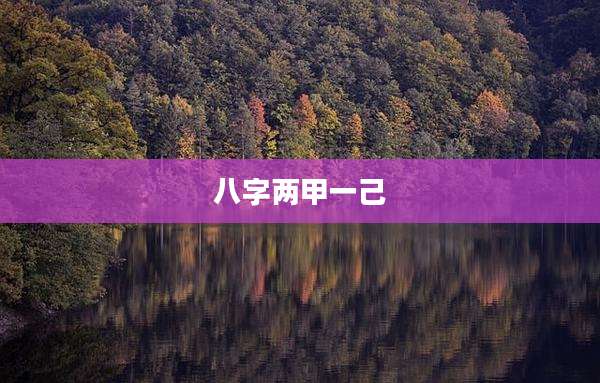 八字两甲一己
