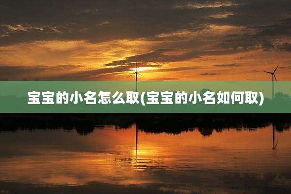 宝宝的小名怎么取(宝宝的小名如何取)