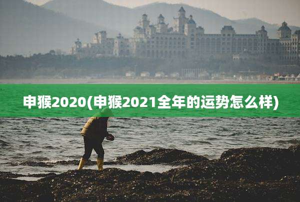 申猴2020(申猴2021全年的运势怎么样)