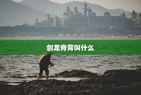 剑龙脊背叫什么