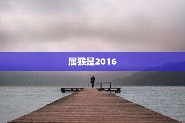 属猴是2016
