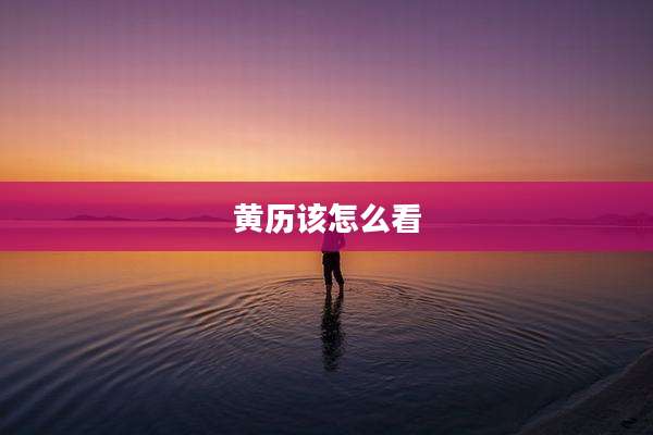 黄历该怎么看