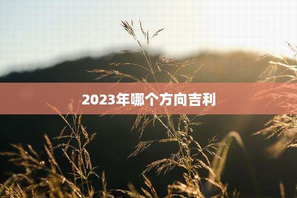2023年哪个方向吉利