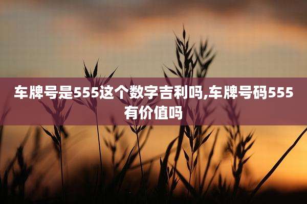 车牌号是555这个数字吉利吗,车牌号码555有价值吗