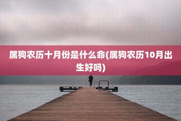属狗农历十月份是什么命(属狗农历10月出生好吗)