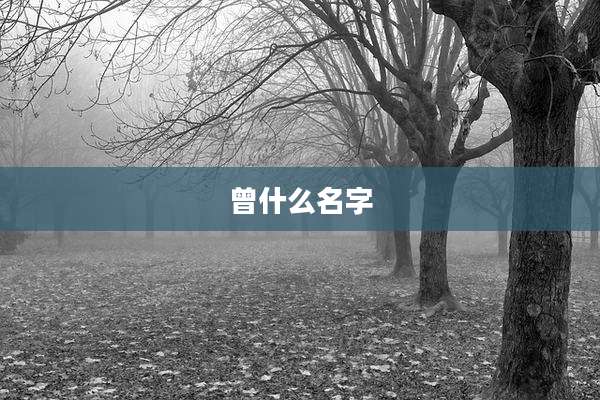 曾什么名字