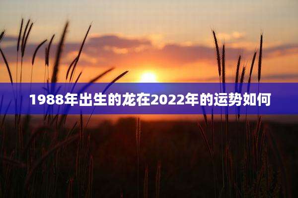 1988年出生的龙在2022年的运势如何