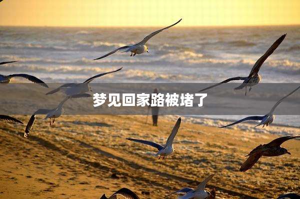 梦见回家路被堵了