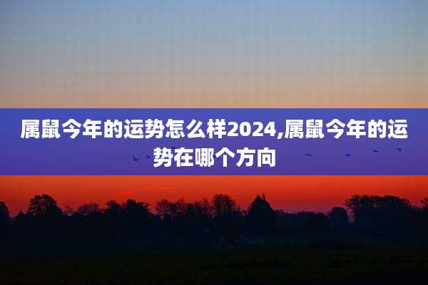 属鼠今年的运势怎么样2024,属鼠今年的运势在哪个方向