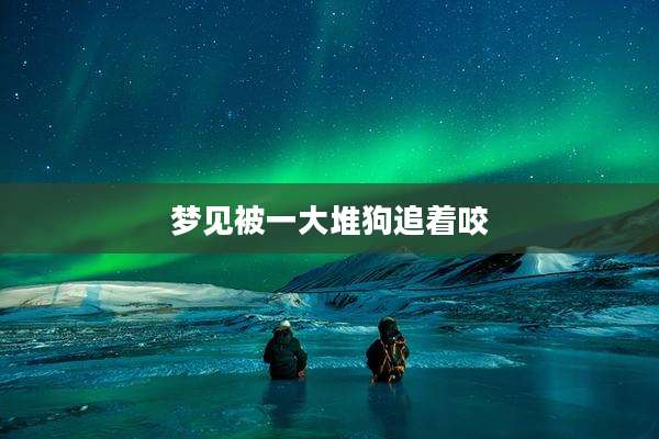 梦见被一大堆狗追着咬
