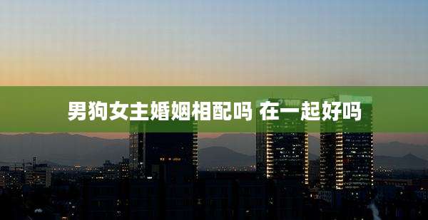 男狗女主婚姻相配吗 在一起好吗