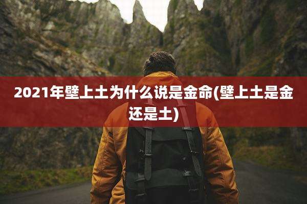 2021年壁上土为什么说是金命(壁上土是金还是土)