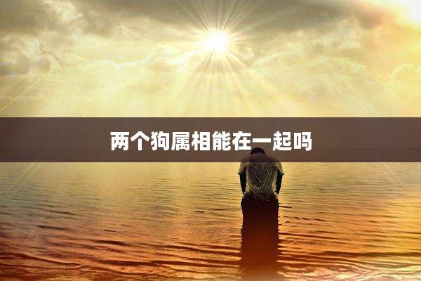 两个狗属相能在一起吗
