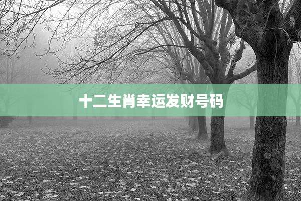 十二生肖幸运发财号码