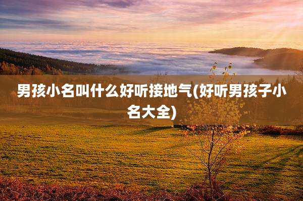 男孩小名叫什么好听接地气(好听男孩子小名大全)
