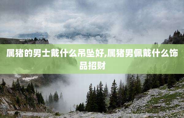 属猪的男士戴什么吊坠好,属猪男佩戴什么饰品招财