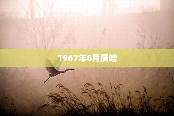1967年8月属啥