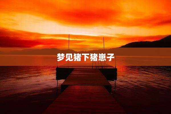 梦见猪下猪崽子