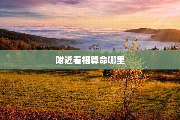 附近看相算命哪里