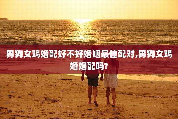男狗女鸡婚配好不好婚姻最佳配对,男狗女鸡婚姻配吗?