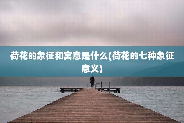 荷花的象征和寓意是什么(荷花的七种象征意义)