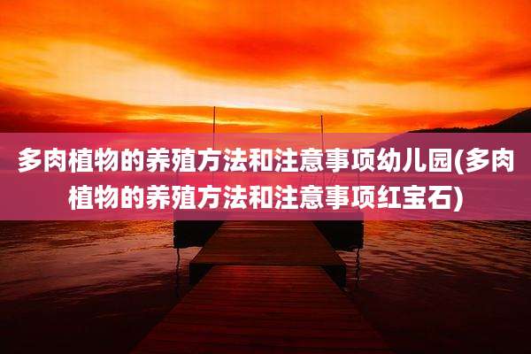 多肉植物的养殖方法和注意事项幼儿园(多肉植物的养殖方法和注意事项红宝石)