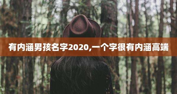 有内涵男孩名字2020,一个字很有内涵高端