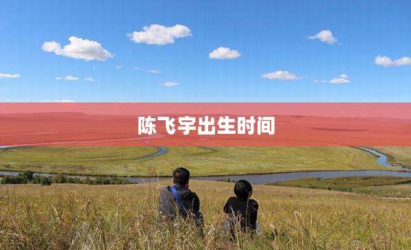 陈飞宇出生时间