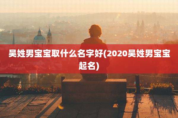 吴姓男宝宝取什么名字好(2020吴姓男宝宝起名)